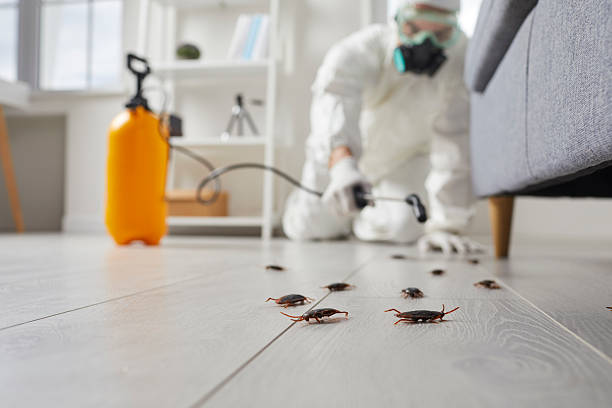 Post-Treatment Bed Bug Interceptor Monitoring in Big Bass Lake